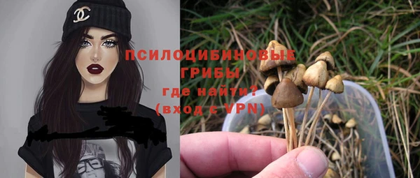 крисы Зерноград