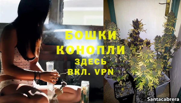 2c-b Зеленодольск