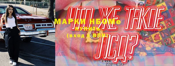 крисы Зерноград