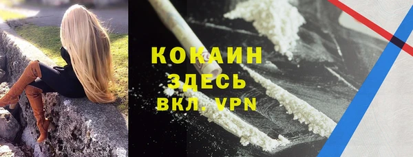 крисы Зерноград